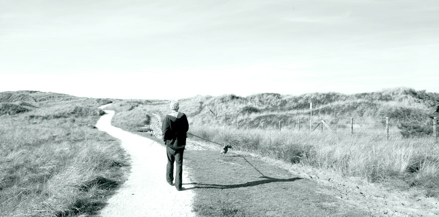 Zorg aan Zee